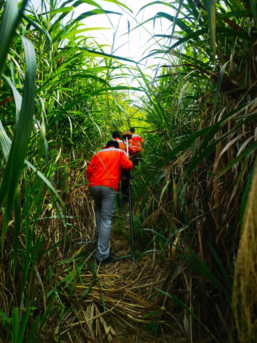 安全始于足下·責(zé)任常記心間 | 智慧信息部開(kāi)展現(xiàn)場(chǎng)巡線(xiàn)督察活動(dòng)